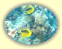 IMG_2007_05_29 15_56_44 * 3072 x 2304 * (1.31MB)